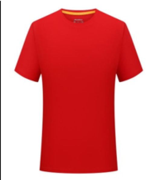 Quick Dry Polyester Sports T Shirt Lightweight Breathable Gym Running T-Shirts